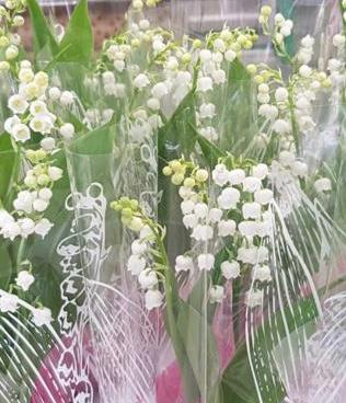 touchard fleuriste le mans bouquet muguet