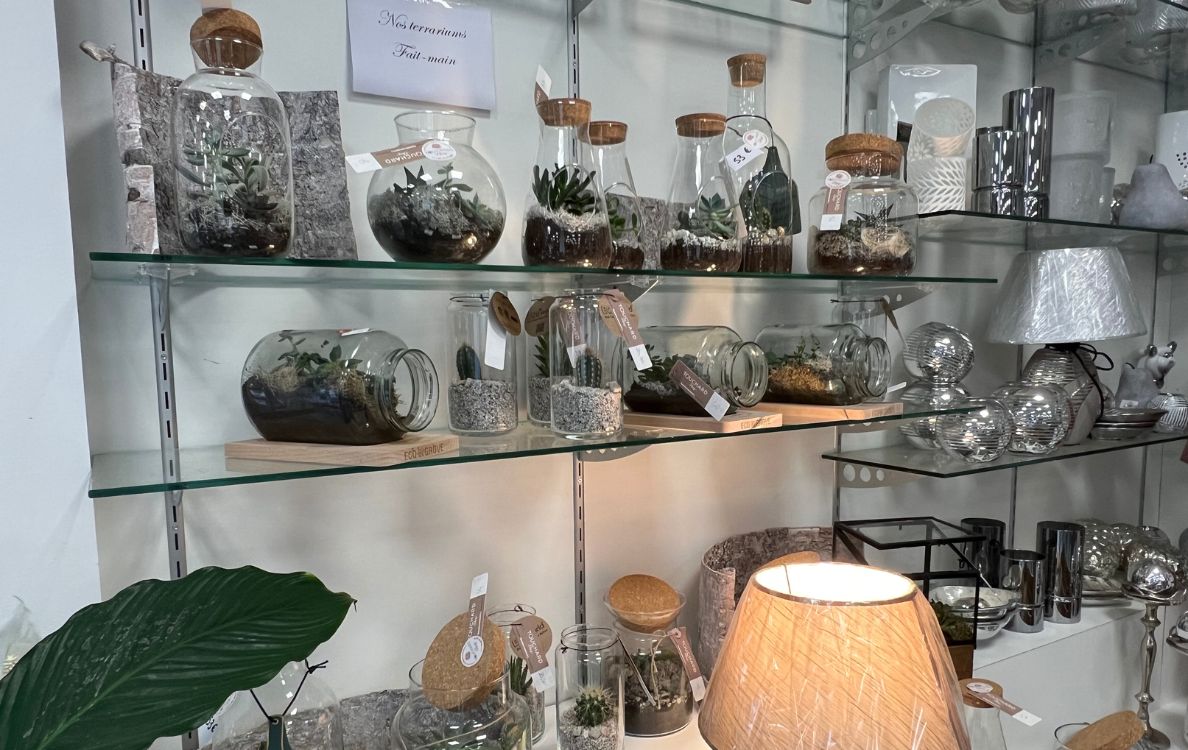 Un terrarium parmi tant d'autres chez Touchard Fleurs.