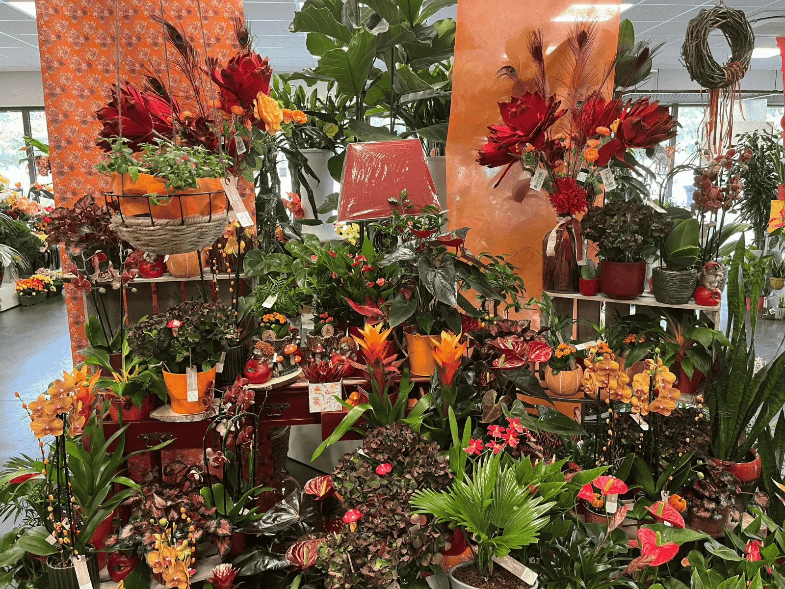 Fleurs d'automne disponibles chez Touchard Fleurs en Sarthe.