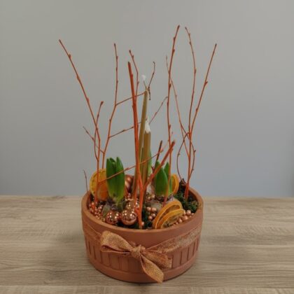 Jardin Oasis des douceurs