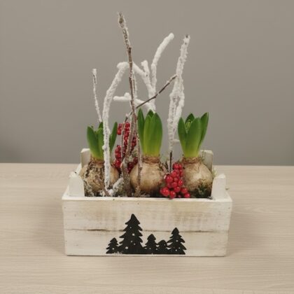 Jardin Vallée des Jacynthes