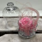cloche en verre rose éternelle