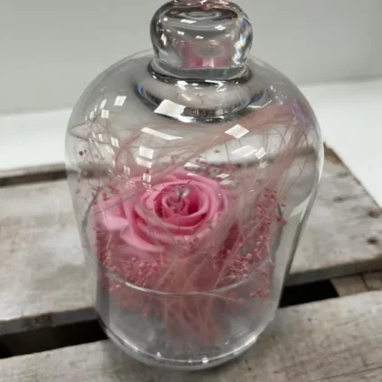 cloche en verre rose éternelle