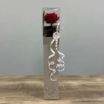 rose éternelle sur tige