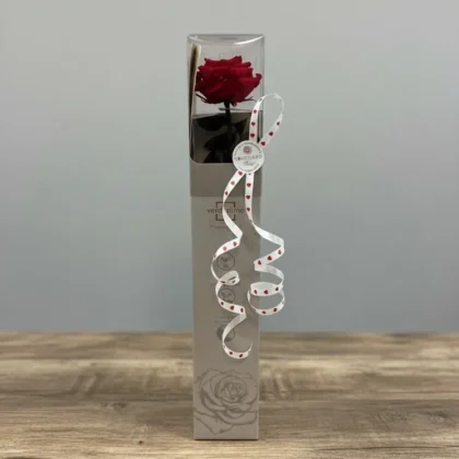rose éternelle sur tige