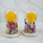 Tendresse sous cloche