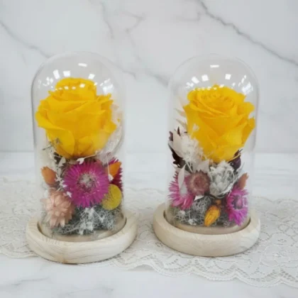 Tendresse sous cloche