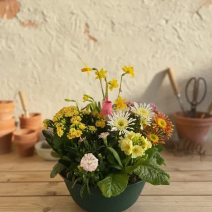 Coupe chaleureux souvenir