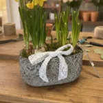 Jardin bulbes d'amour