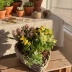 Jardin coeur ensoleillé