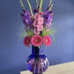 COMPOSITION EN HAUTEUR Ariane