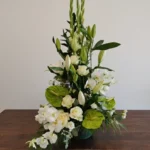 COMPOSITION EN HAUTEUR Elegancia