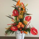 COMPOSITION EN HAUTEUR Exotica