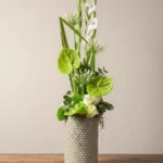 COMPOSITION EN HAUTEUR Harmonie