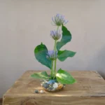 COMPOSITION Epure Han