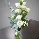 COMPOSITION POUR DES MANGE-DEBOUTS Douceur