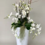 GRANDE COMPOSITION D'ORCHIDÉES Les Fabuleuses