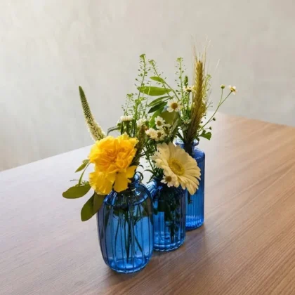 LES SIGNATURES Renoir