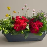 jardiniere couleurs de printemps