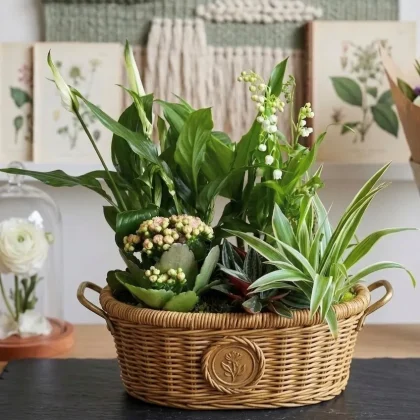 Composition Jardin du bonheur