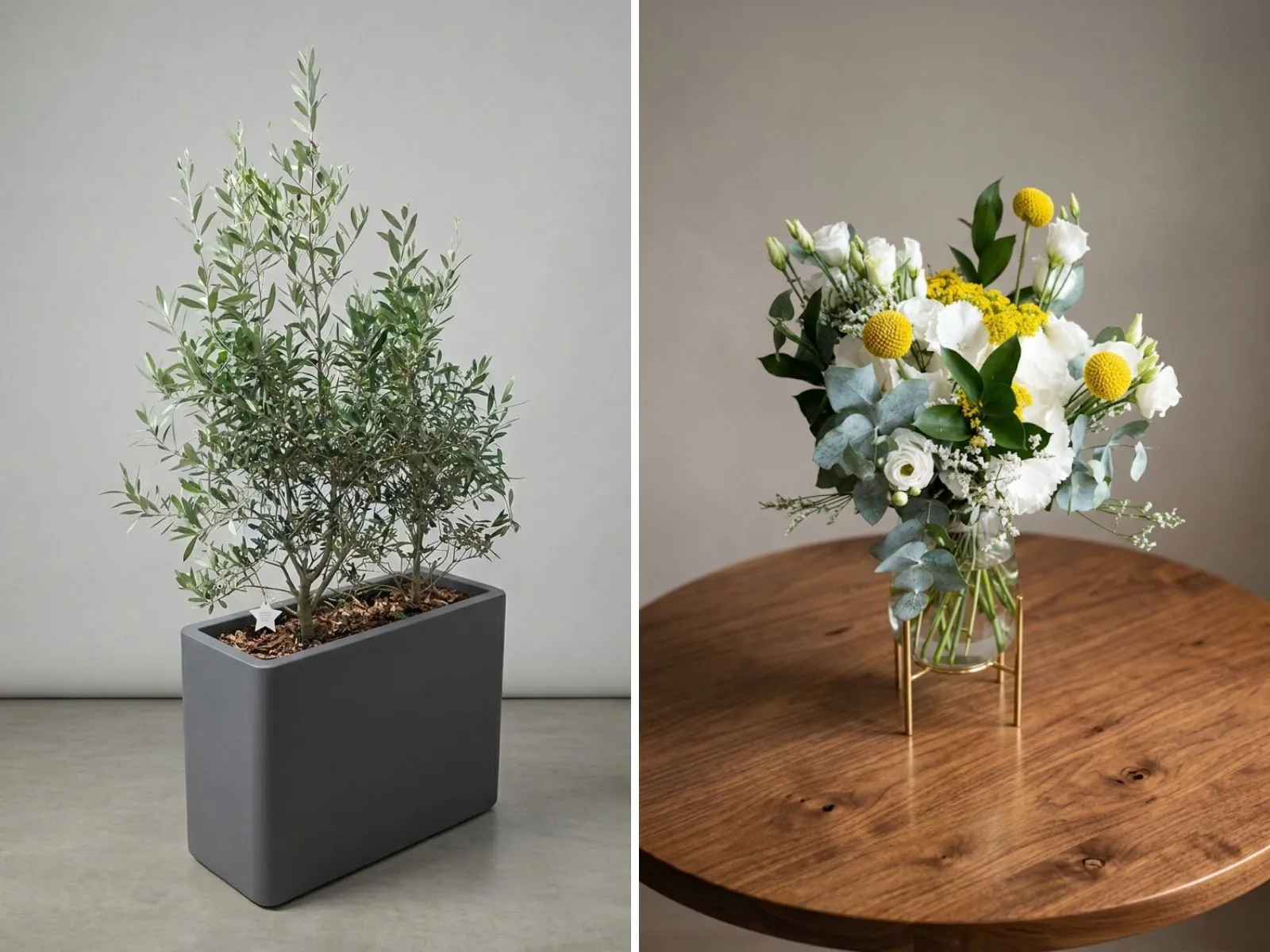Location de plantes et vente de fleurs fraîches par Maison Touchard Fleuristerie.