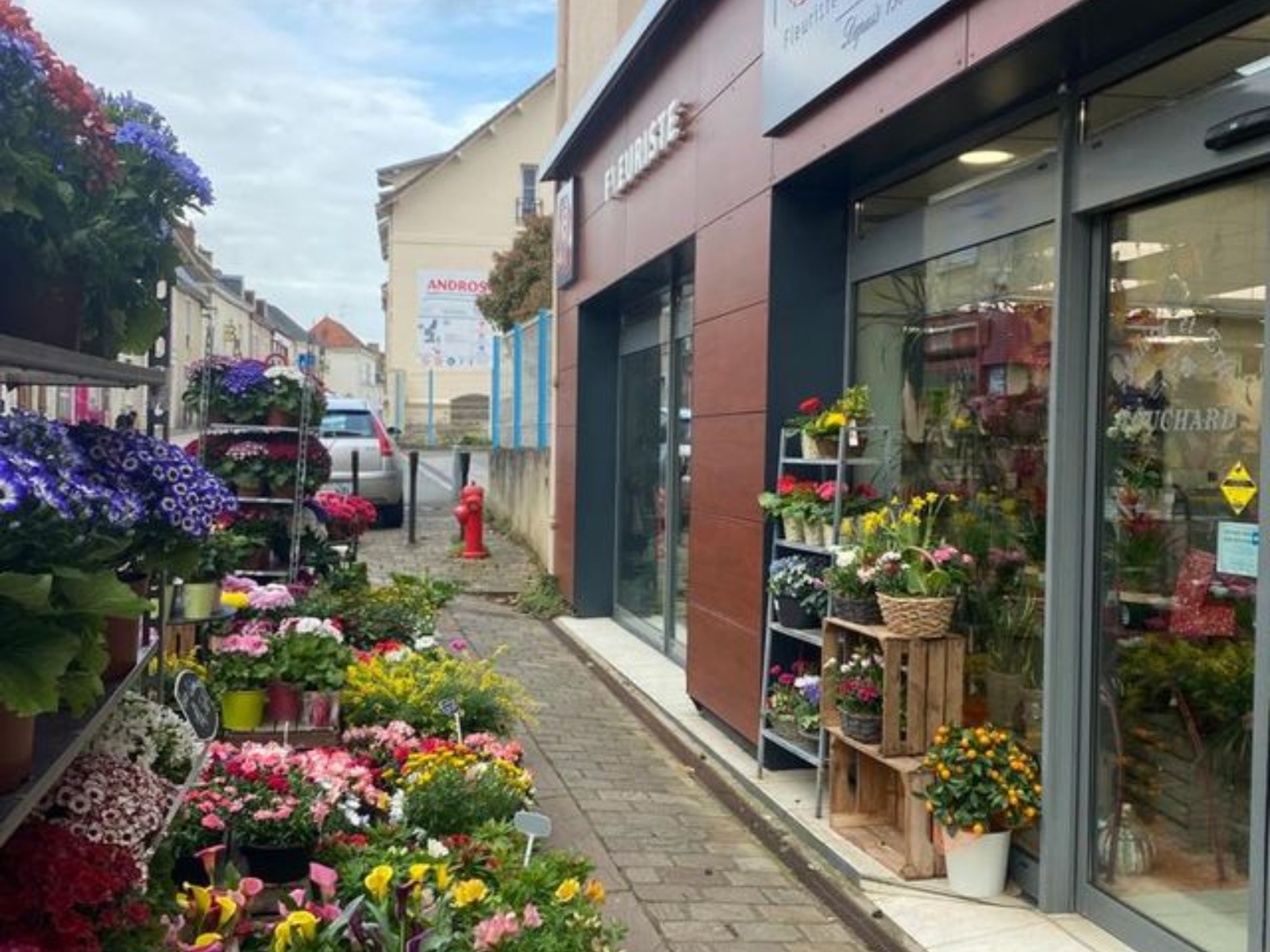 Fleuriste Le Mans : devanture d’une des boutiques de Maison Touchard Fleurs