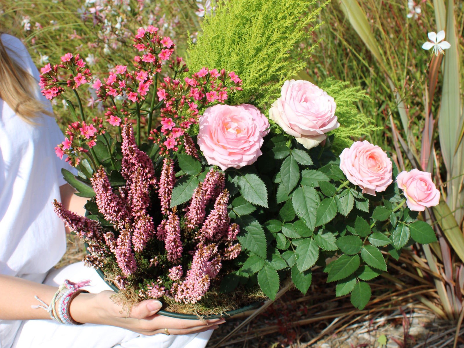 Exemple de fleurs de la Toussaint à retrouver dans les boutiques Maison Touchard Fleurs.