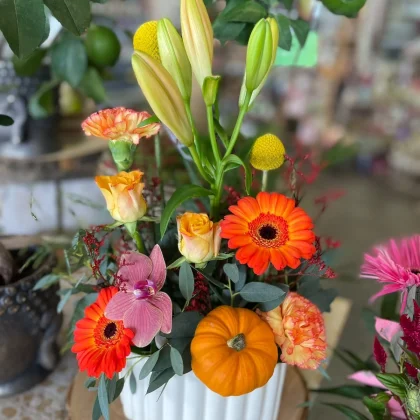 Soleil d'octobre